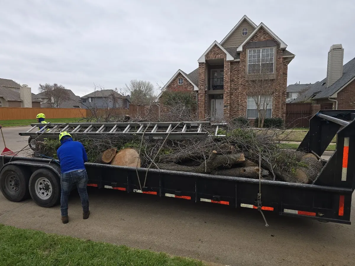 Expert Lot Clearing with proper safety equipment in Perrinton